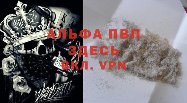 гашик Арсеньев