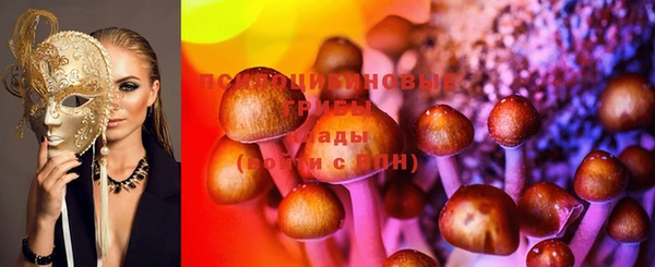 гашик Арсеньев