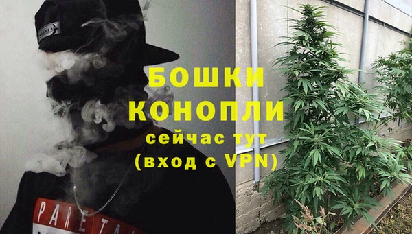гашик Арсеньев