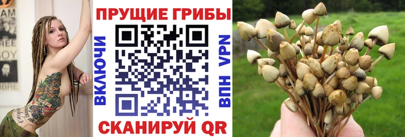Галлюциногенные грибы ЛСД ОМГ ОМГ Арск
